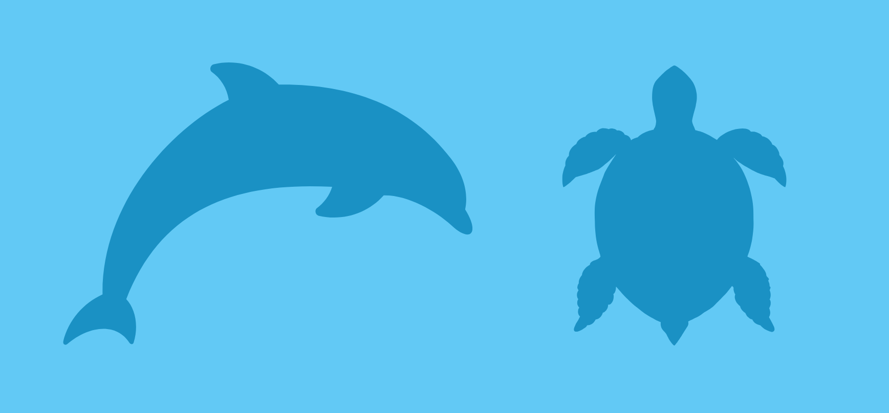 turtles and dolphins los cristianos